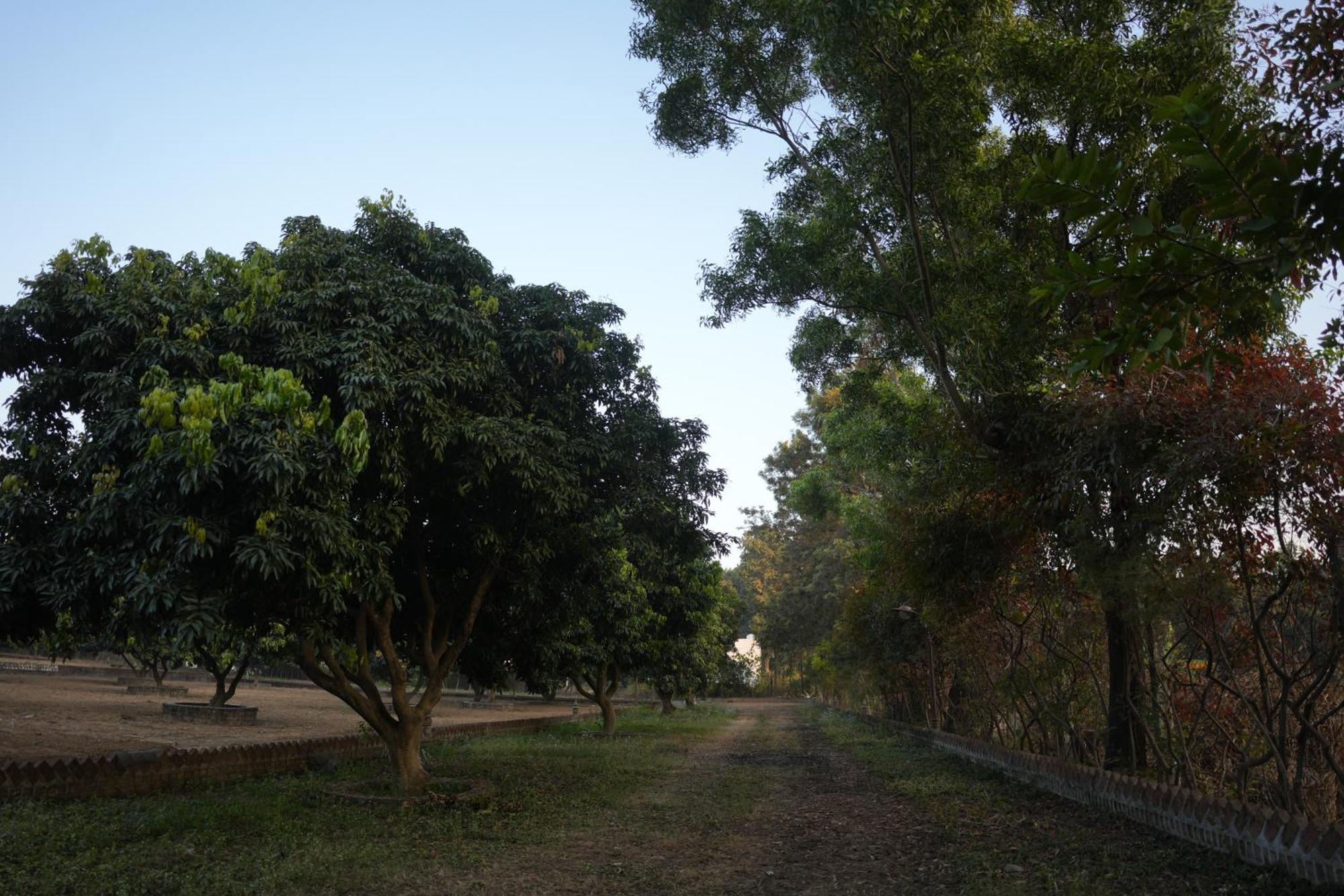3Acres Resorts Dehradun Dış mekan fotoğraf
